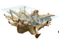 Teak root coffee table