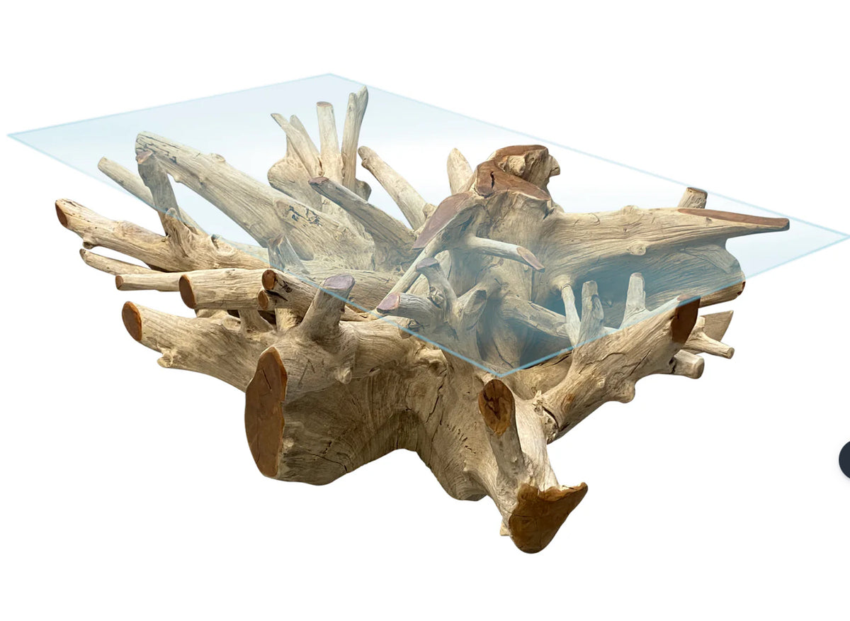 Teak root coffee table