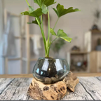 Vase en bois et verre soufflé Ø3"