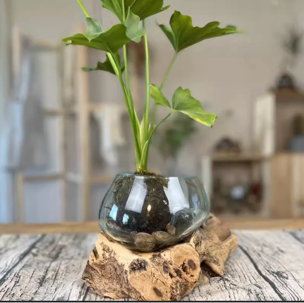 Vase en bois et verre soufflé Ø3"