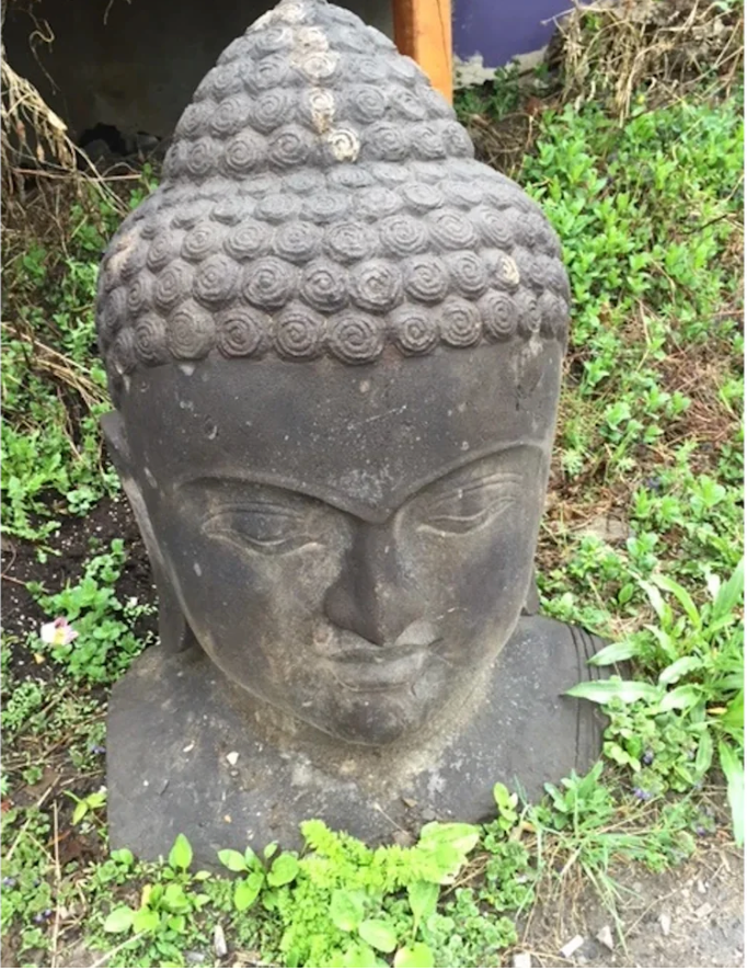 Tête de bouddha