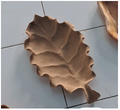 Leaf 40x25 cm